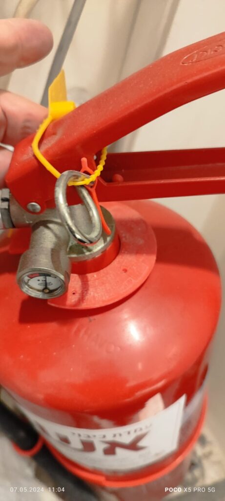 מבקר מטפים פעם בשנה