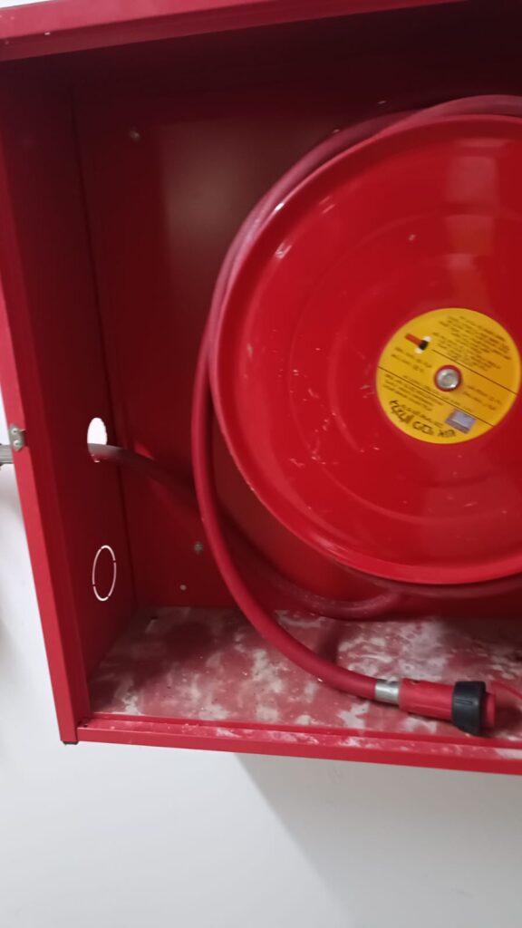 כמה יעלה ביקורת מטפים